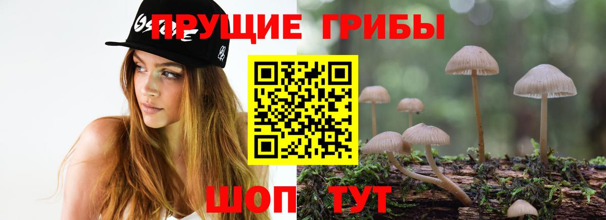 Балашиха  где купить наркоту  Вход с VPN  Галлюциногенные грибы Cubensis 